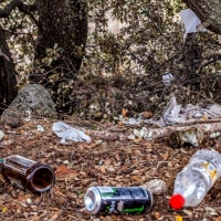Despreocupación y comodidad: Principales motivos que fomentan tirar basura en la naturaleza