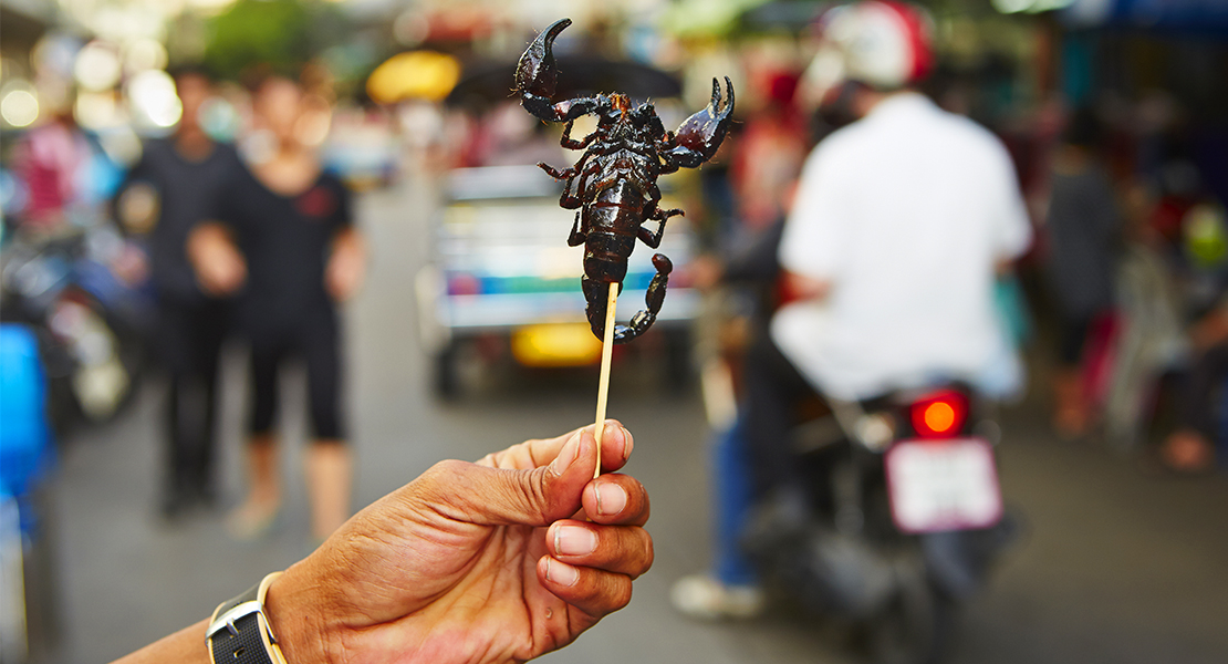 La cría de insectos para el consumo humano se pone de moda en Europa