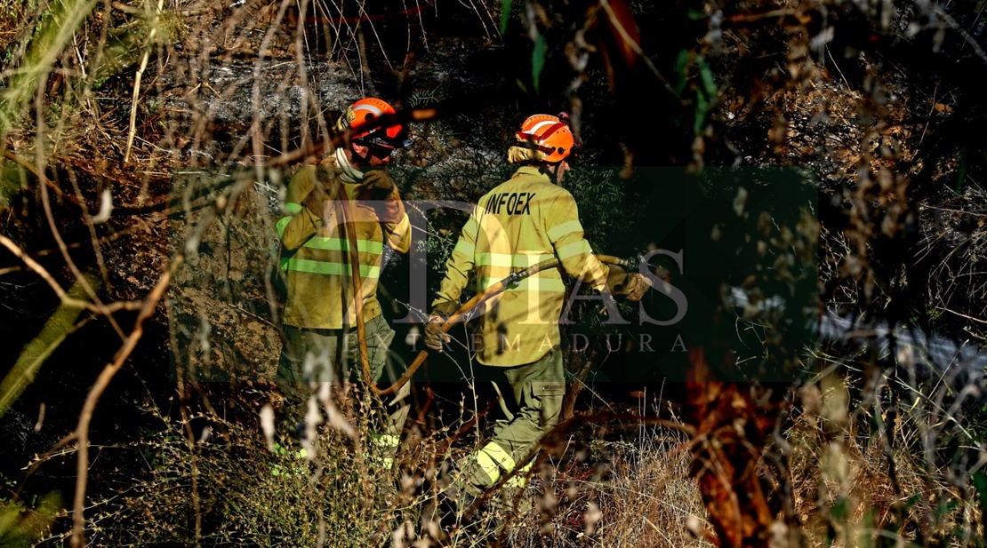 Incendio en las Vegas Bajas del río Guadiana