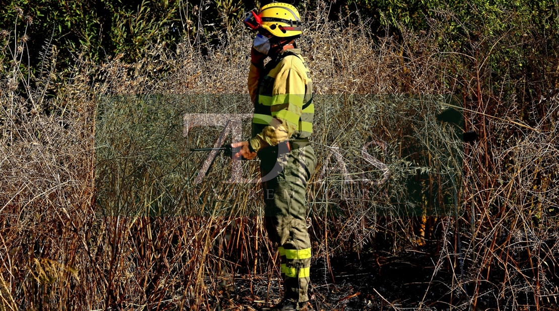 Incendio en las Vegas Bajas del río Guadiana