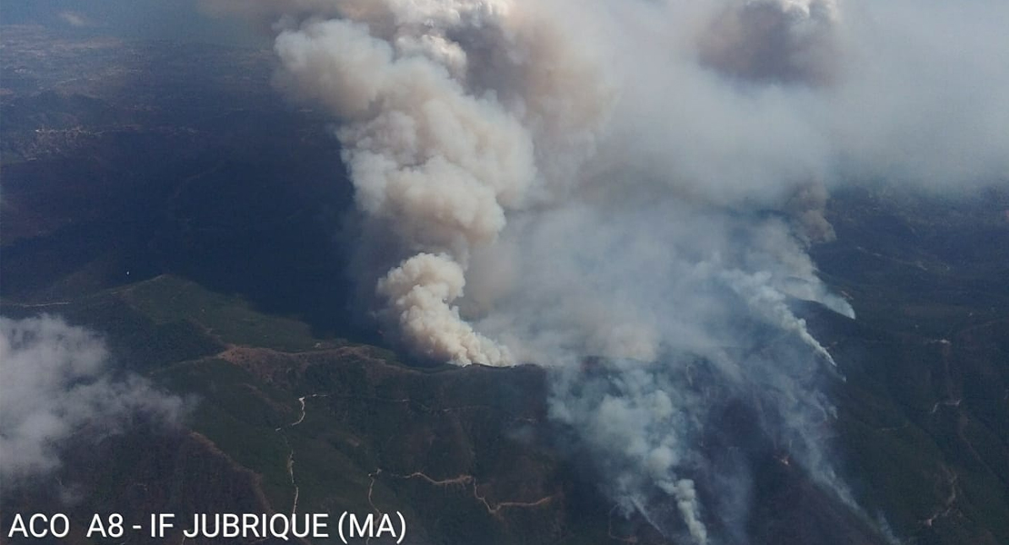 Empeora la situación en Málaga: ya han desalojado 6 municipios por el peligroso incendio