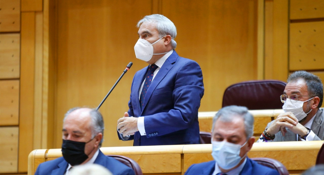 Fragoso asegura que con las medidas del PP la factura de la luz se rebajaría un 20%