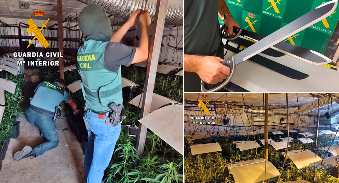 La inmensa mina de oro verde oculta tras un póster en una pared de un gimnasio de Mérida