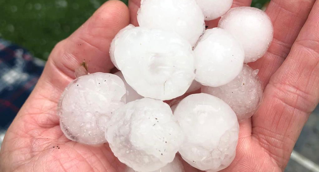 Cientos de hectáreas de olivares extremeños afectados por las tormentas