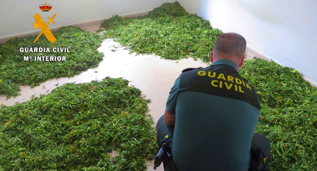 Un joven detenido en la provincia de Cáceres por cultivo y elaboración de drogas