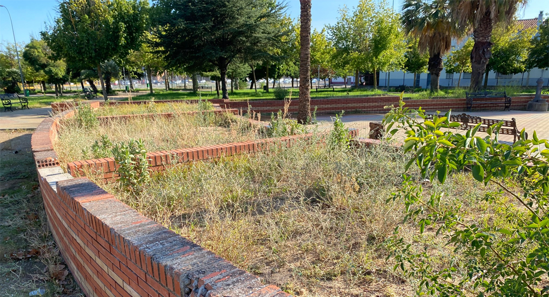 El PSOE denuncia que los parques de Suerte de Saavedra en Badajoz apenas se cuidan