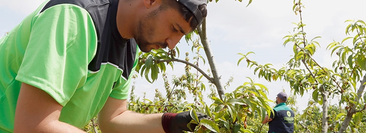 UPA: “El futuro de la alimentación mundial es la agricultura familiar”