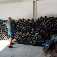 Liberan más de 260 kilos de pulpos vivos atrapados en “nasas” ilegales