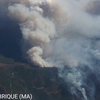 Empeora la situación en Málaga: ya han desalojado 6 municipios por el peligroso incendio