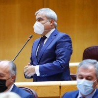 Fragoso asegura que con las medidas del PP la factura de la luz se rebajaría un 20%