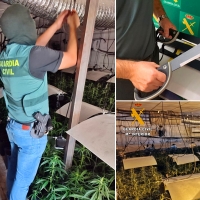 La inmensa mina de oro verde oculta tras un póster en una pared de un gimnasio de Mérida