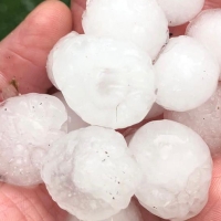 Cientos de hectáreas de olivares extremeños afectados por las tormentas