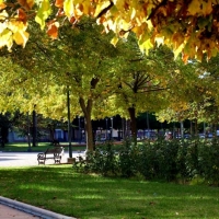 El verano fue húmedo pero ¿cómo será el otoño?