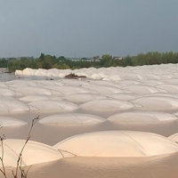 Frente a la catástrofe, seguros agrarios