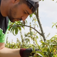 UPA: “El futuro de la alimentación mundial es la agricultura familiar”