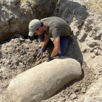 Recuperada una de las piezas arqueológicas más singulares del Embalse de Valdecañas