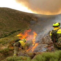 Plan INFOEX: Extremadura pierde 120 hectáreas la última semana