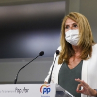 PP: &quot;No ha habido voluntad política de la Junta para asistir a las víctimas de terrorismo&quot;