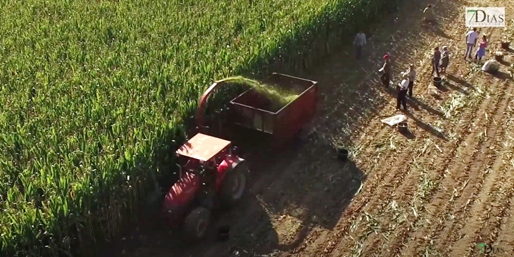 Indignación entre los productores agrarios extremeños por la subida del SMI