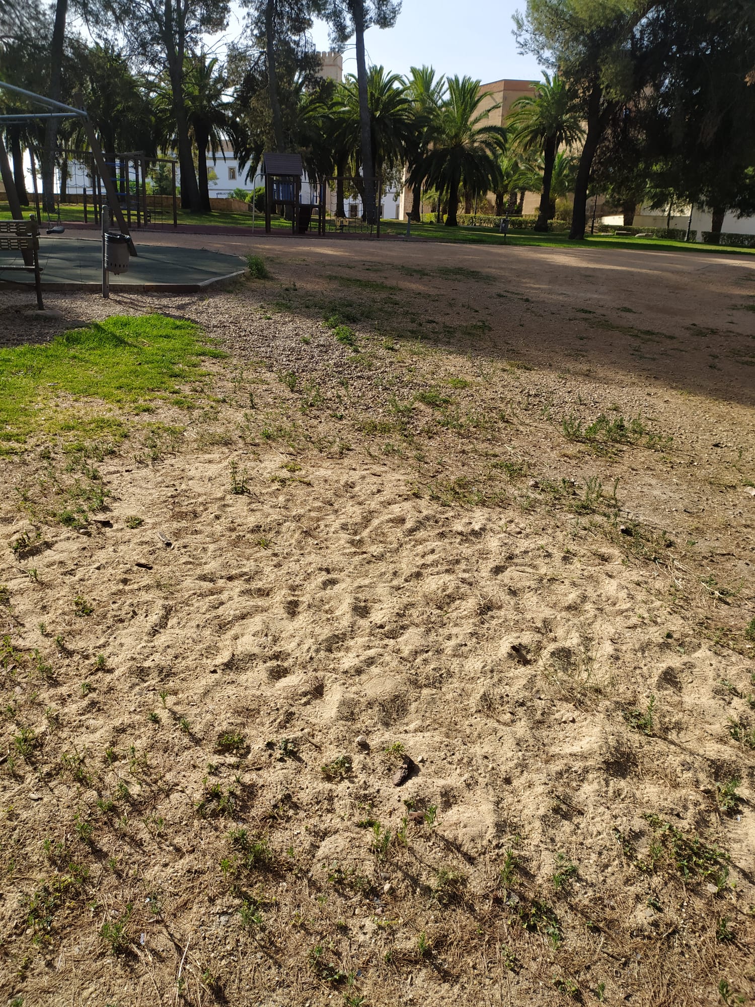 El abandono de la Alcazaba en imágenes: vallas, pintadas, socavones...