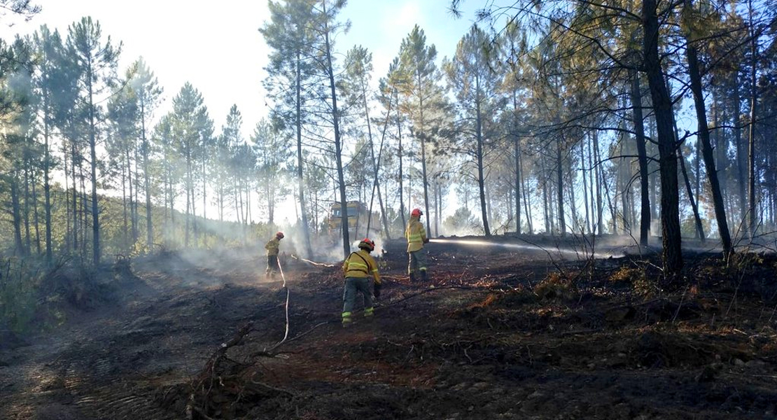 Los incendios forestales dan un respiro en 2021 a Extremadura
