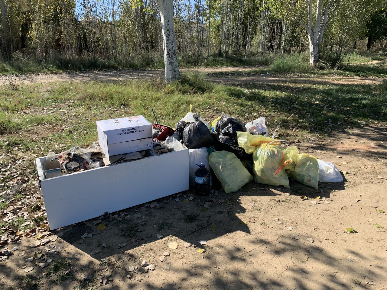 46 voluntarios limpian el río Guadiana a su paso por Mérida