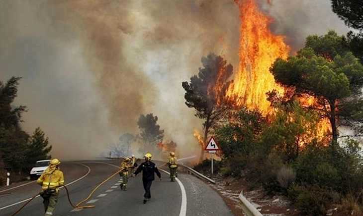 Jornadas de expertos sobre la organización en grandes incendios forestales