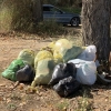 46 voluntarios limpian el río Guadiana a su paso por Mérida