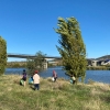 46 voluntarios limpian el río Guadiana a su paso por Mérida