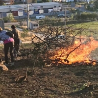 REPOR - Objetivo: recuperar los parajes que el fuego arrasó en Alburquerque