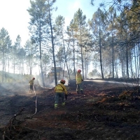 Los incendios forestales dan un respiro en 2021 a Extremadura
