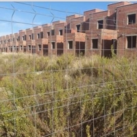 Las hierbas se comen las 31 viviendas de Villafranca de los Barros