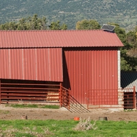 UPA pide a Agricultura cambios en el proyecto de ordenación de granjas de vacuno