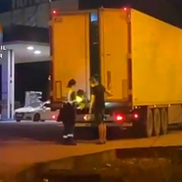 11 detenidos por transportar en camiones droga oculta entre toneladas de coliflores