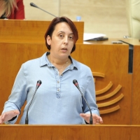 UpE logra que el PSOE acceda a garantizar el aborto en los hospitales públicos de Extremadura