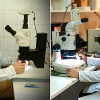 Un estudio en el que participa la UEx gana un prestigioso premio nacional