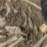 90.000 euros para la exhumación de víctimas del franquismo en tres pueblos extremeños