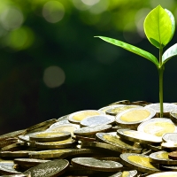 Programa para la promoción e implementación de la economía verde y circular en las pymes extremeñas