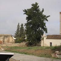 Cambios importantes le esperan a la Alcazaba de Badajoz en 2022