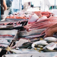 UCE: “Cerca del 80% de las pescaderías extremeñas incumplen la normativa sobre etiquetado”