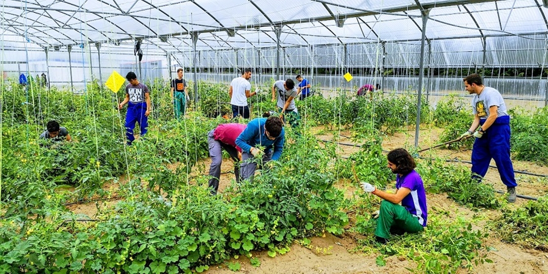 Agricultura abona cerca de 10 millones de euros del anticipo del pago básico y de jóvenes agricultores