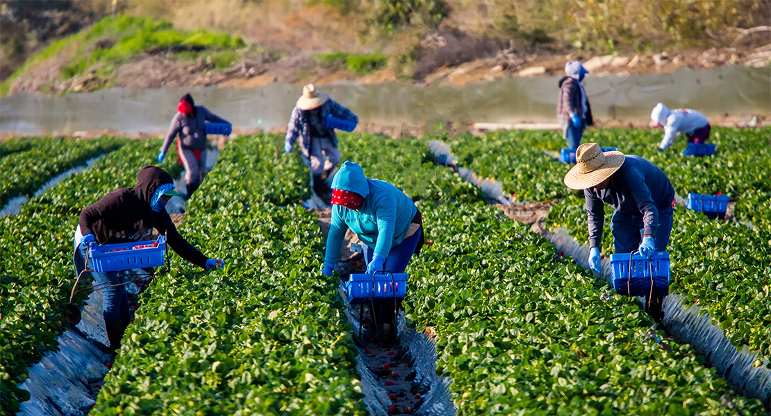¿Cuáles son las enfermedades que más nos produce el trabajo en Extremadura?