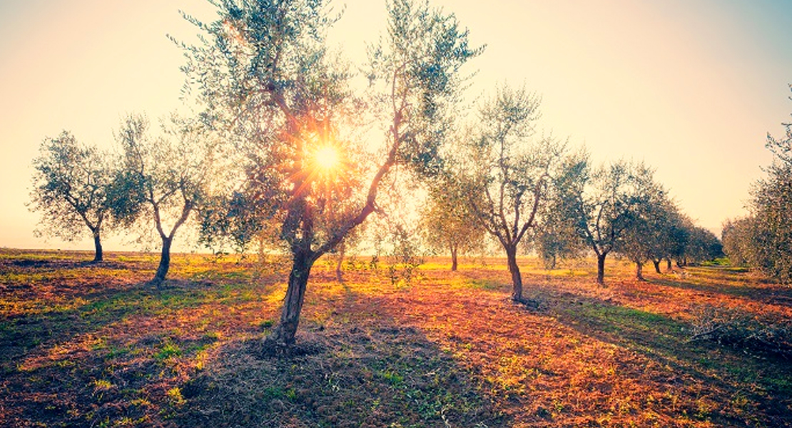 La Junta de Extremadura abona 66.000.000 € del pago verde de la solicitud única de 2021