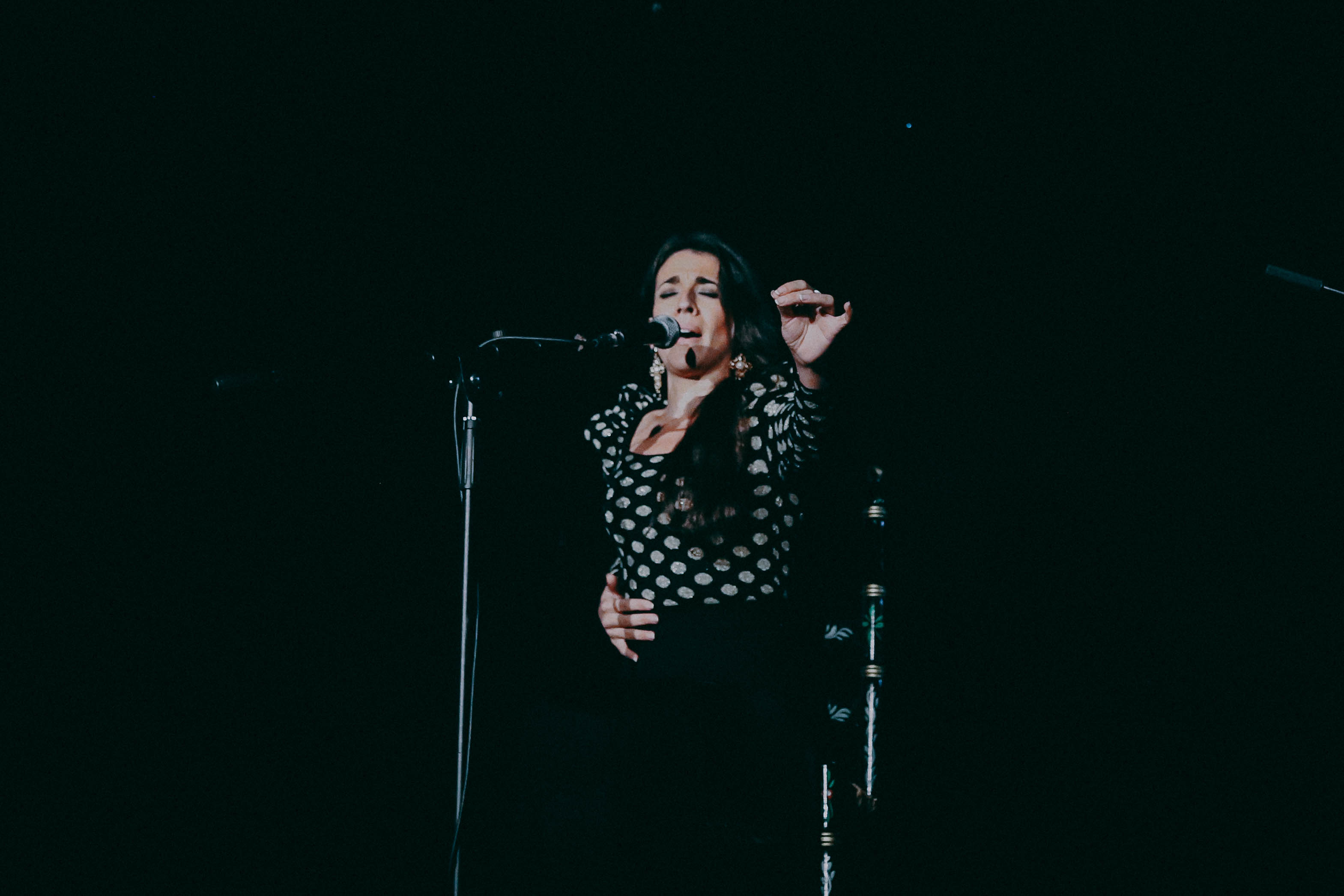 Flamenco extremeño y andaluz en el XII Certamen de Cante &#39;Villa de San Vicente&#39;