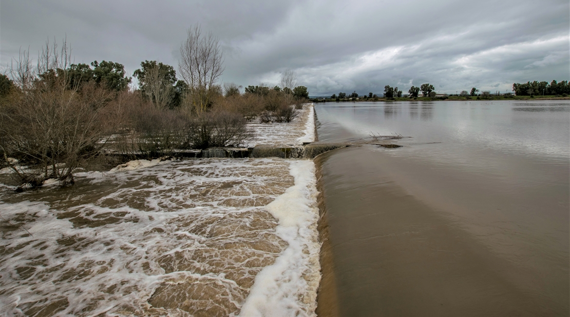 Proyecto para mejorar la continuidad fluvial en el azud de Badajoz