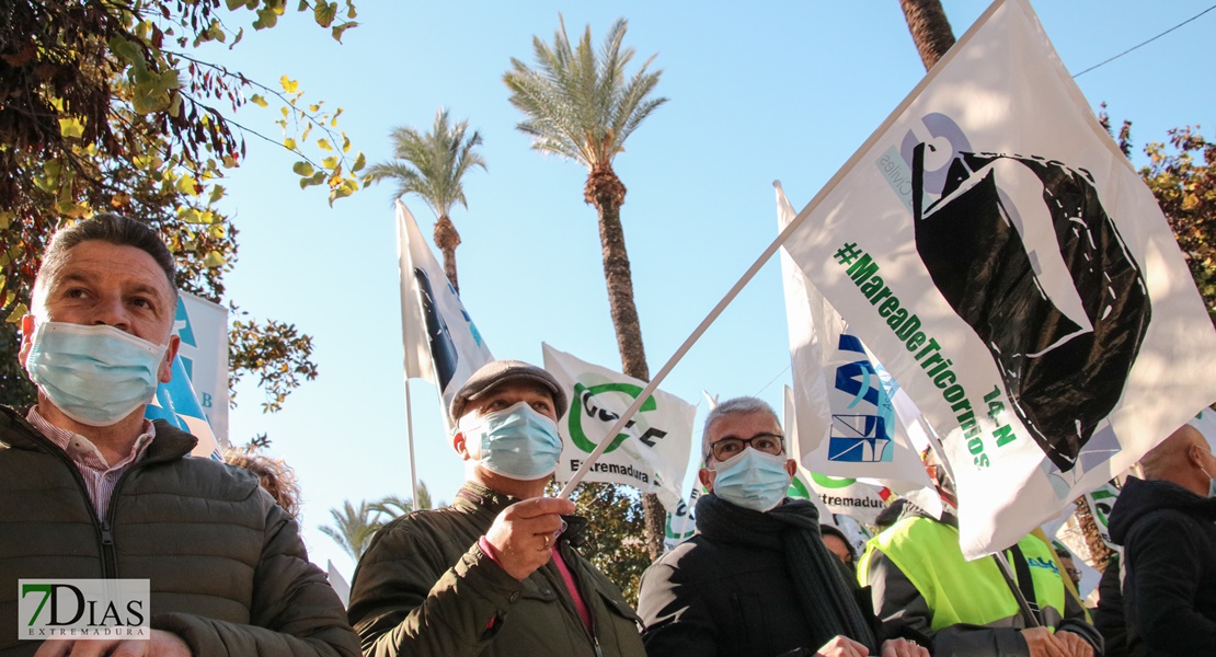 Manifestación contra la reforma de la Ley de Seguridad Ciudadana anunciada por el Gobierno en Badajoz