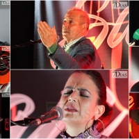 Celebración de la XII edición del Festival Flamenco Villa San Vicente de Alcántara