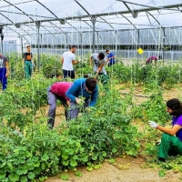 Agricultura abona cerca de 10 millones de euros del anticipo del pago básico y de jóvenes agricultores