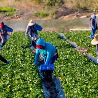 Enfermedades más relacionadas con el trabajo en Extremadura