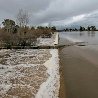 Proyecto para mejorar la continuidad fluvial en el azud de Badajoz